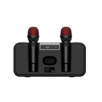 Портативна колонка караоке HAVIT HV-SK856BT 20W RGB Black